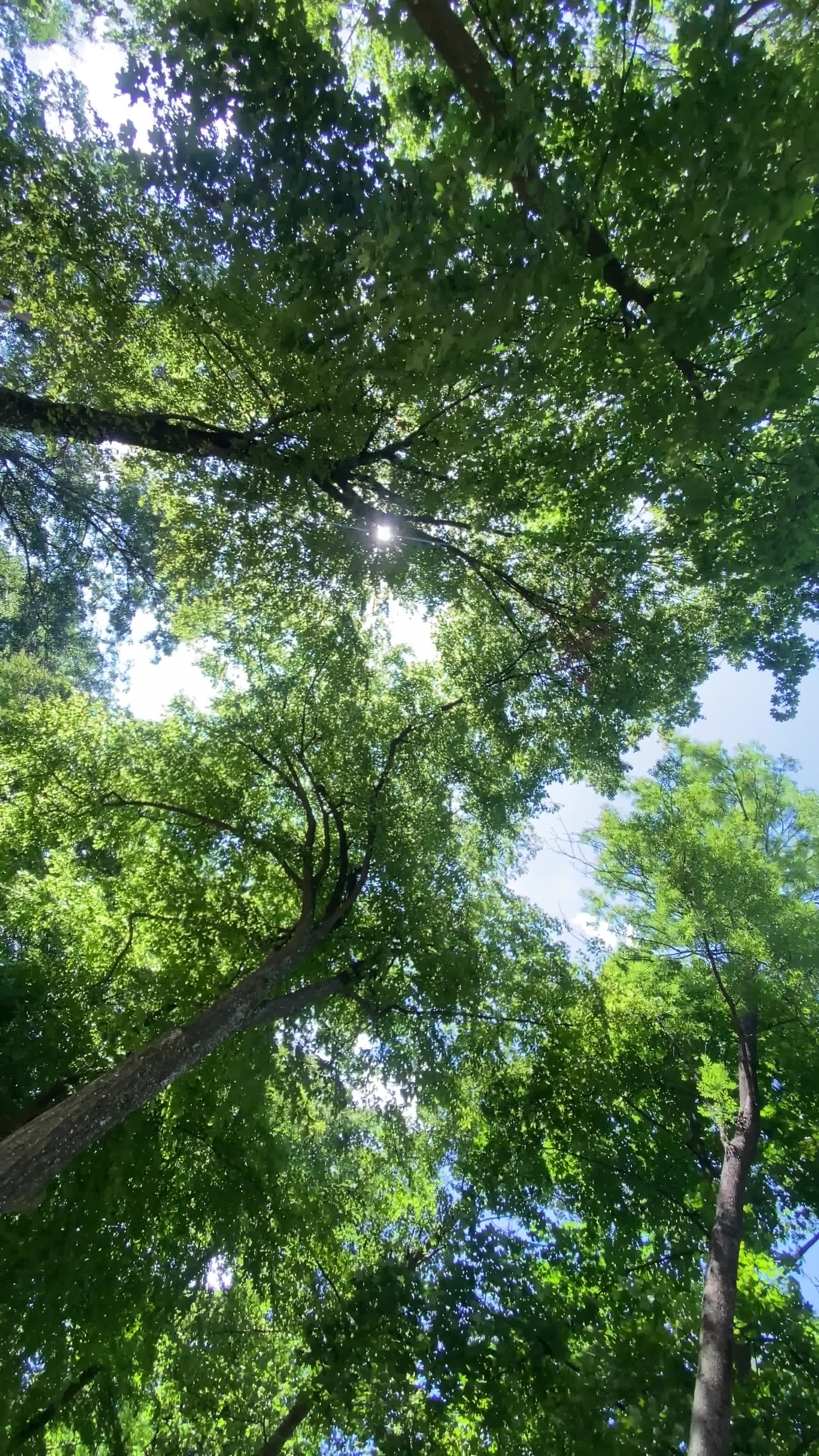 Video by Rustem Muratov