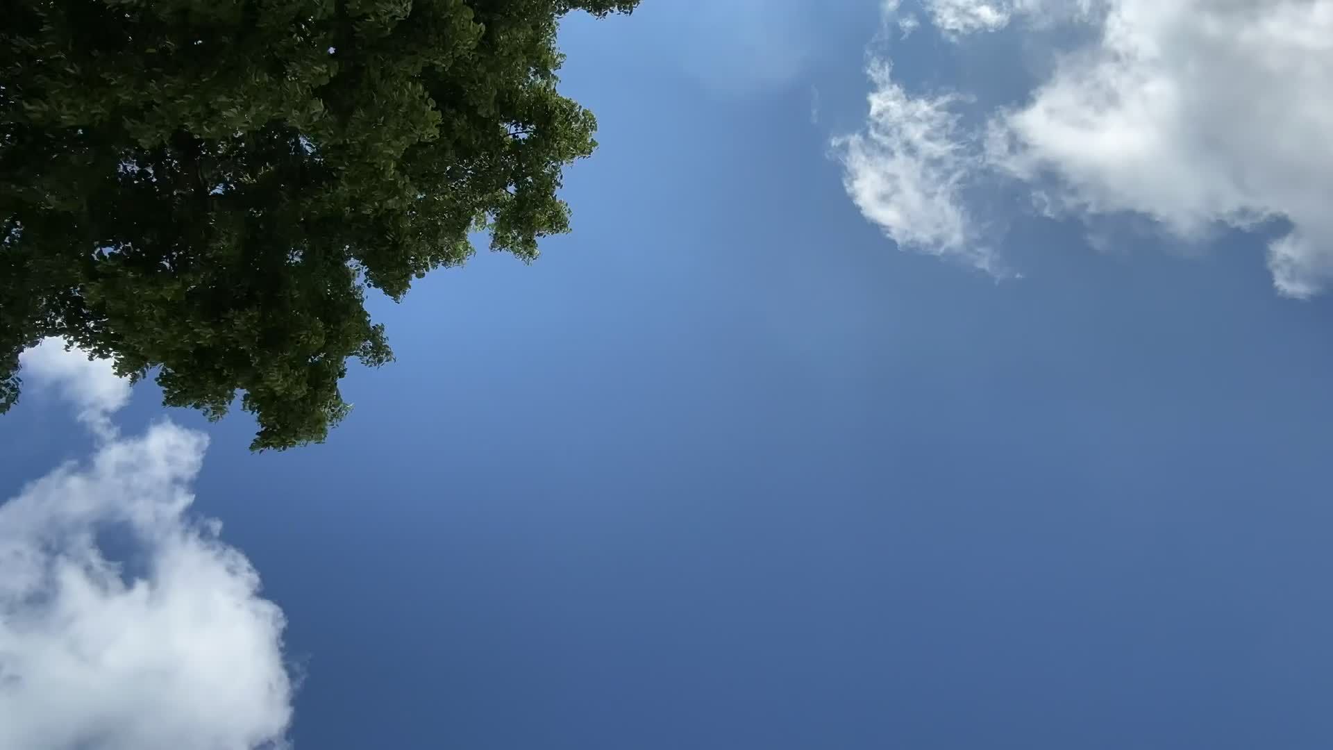 timelapse clouds 27329790 — free pexels stock footage