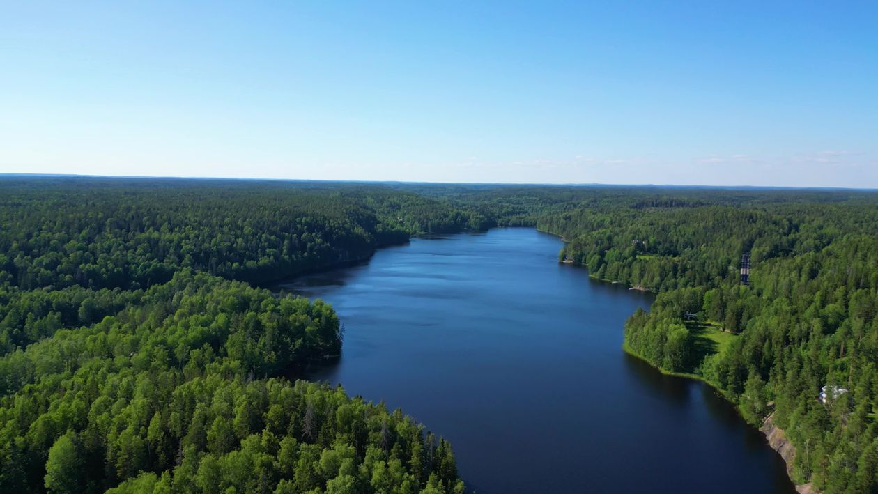 Drone Footage of Lake and Forest Free Stock Video Footage, Royalty-Free ...