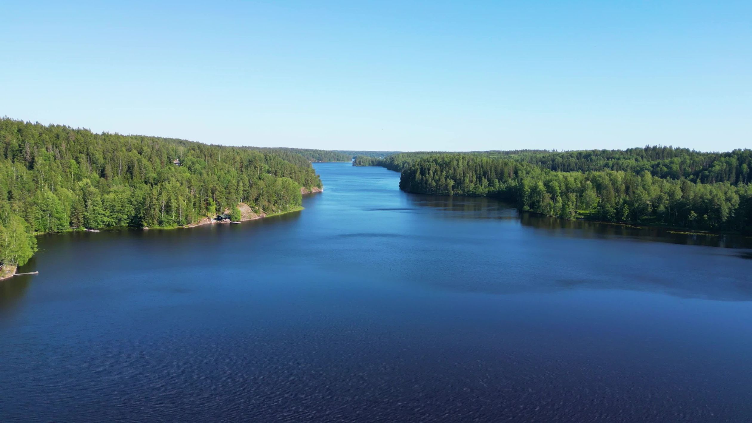 Drone Footage of Lake and Forest Free Stock Video Footage, Royalty-Free ...