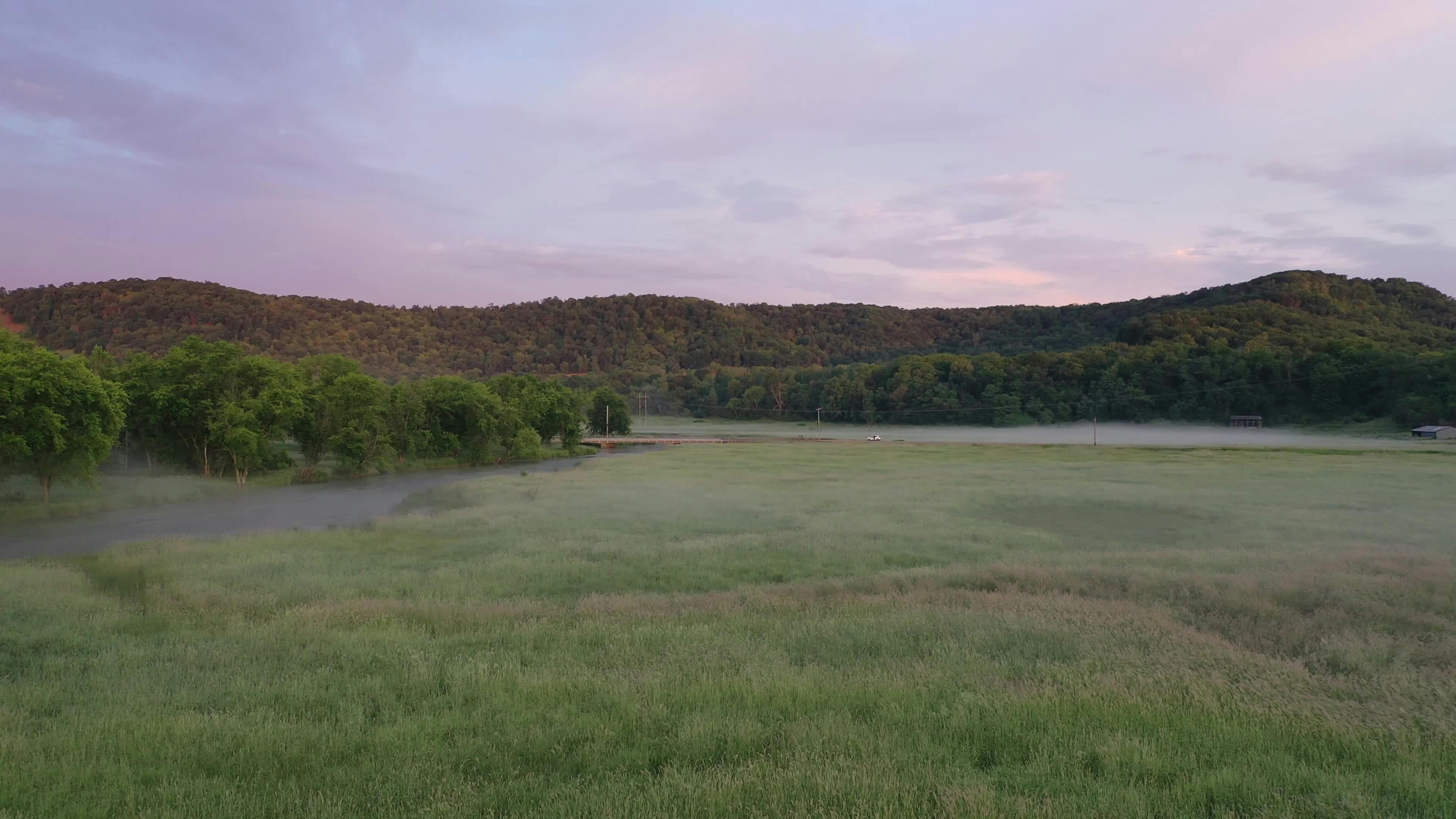 Video by Tom Fisk