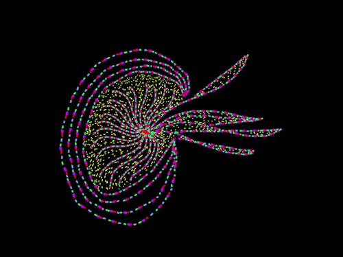 Animation In Colors Free Stock Video Footage, Royalty-Free 4K & HD ...