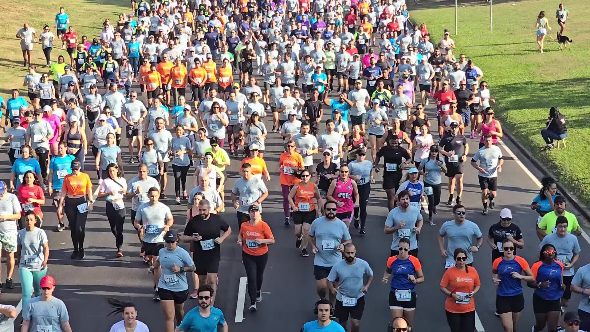 A large group of people running in a race Free Stock Video Footage ...