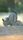 wild animals
