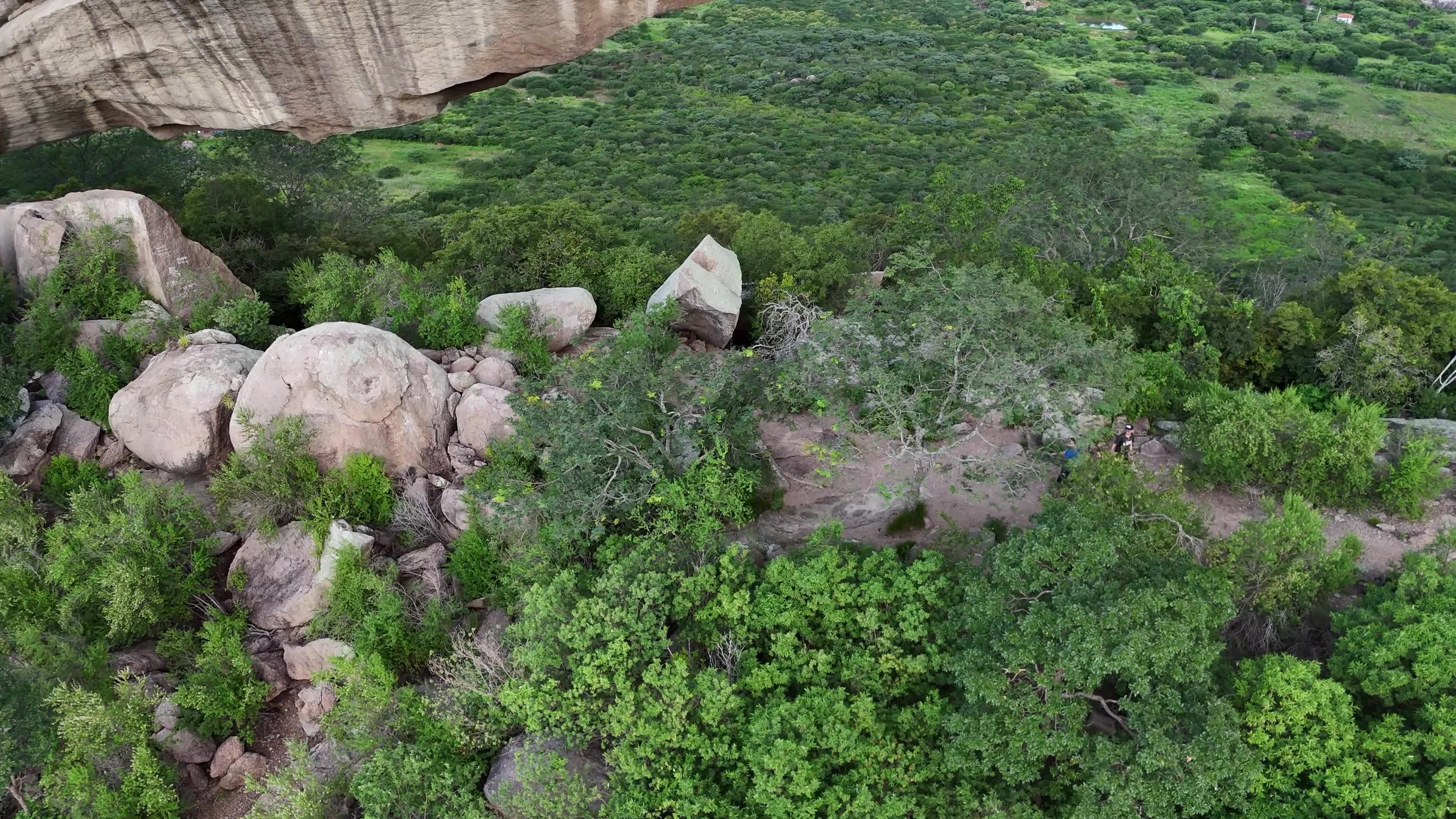 An aerial view of a large rock formation in the middle of a forest Free ...