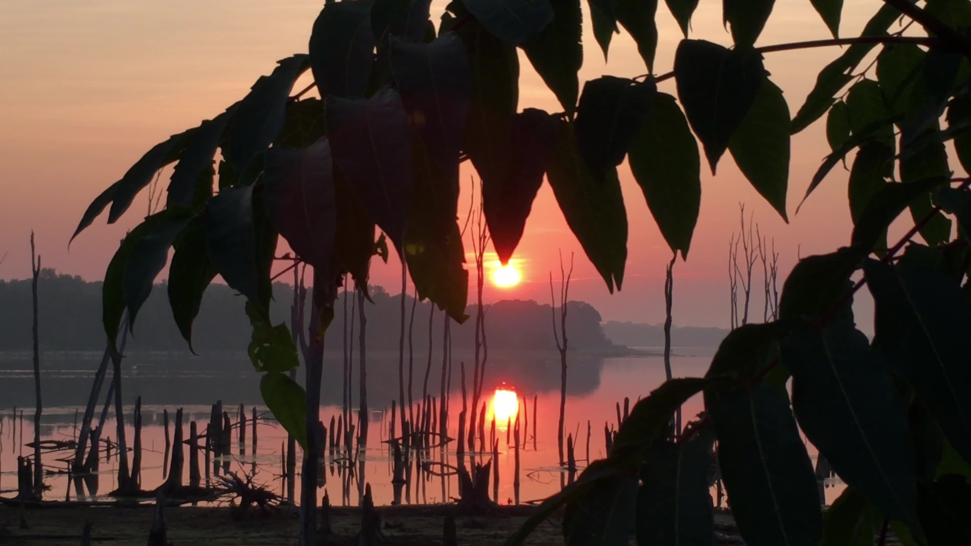 The sun rises over a lake with trees in the foreground Free Stock Video ...