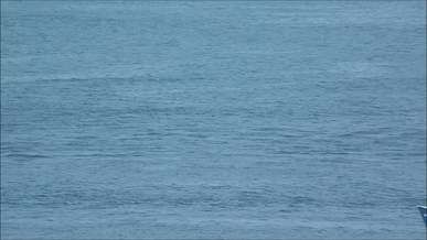 a blue fishing vessel