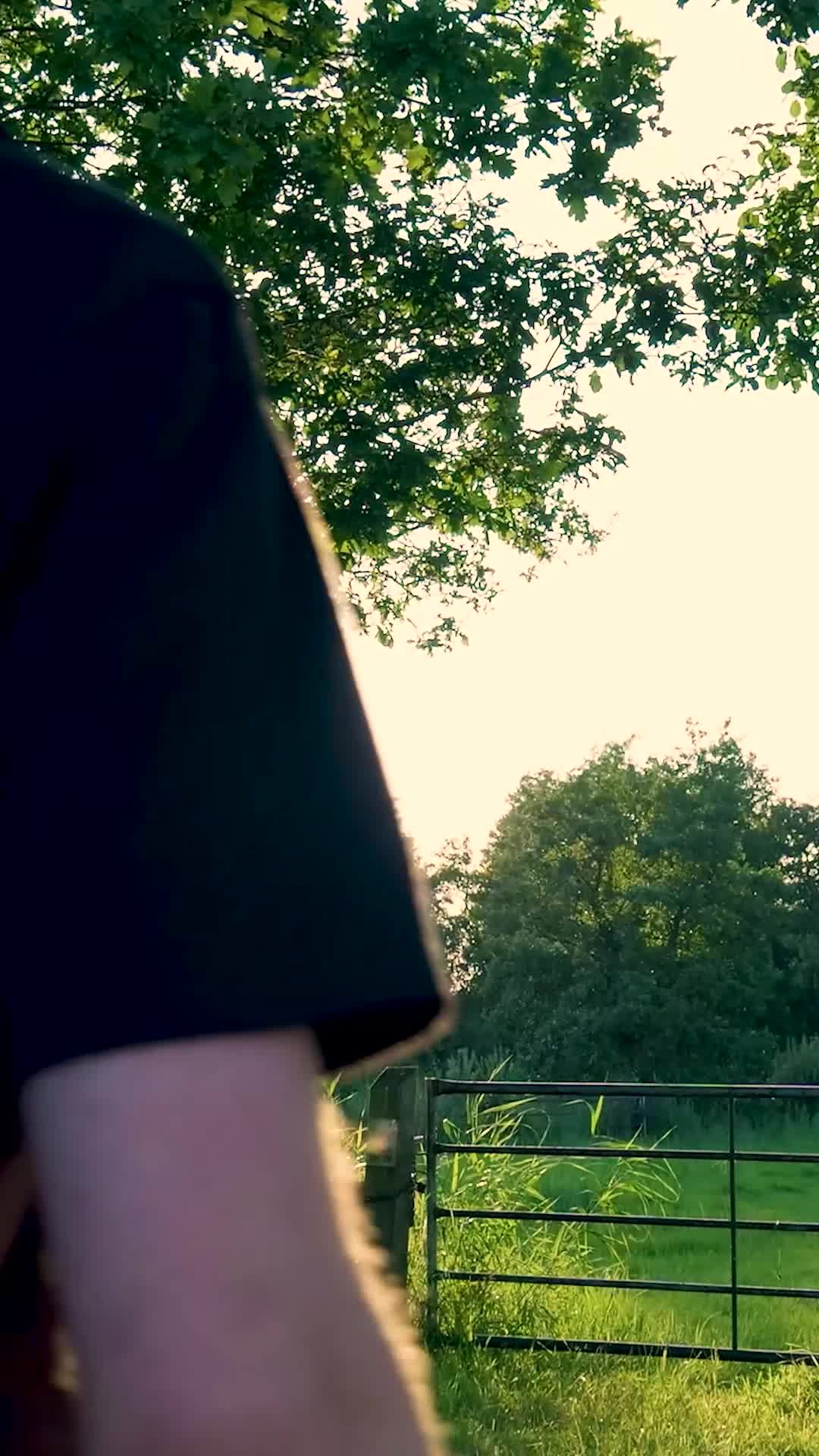 A man walking through a field with the sun setting behind him Free ...