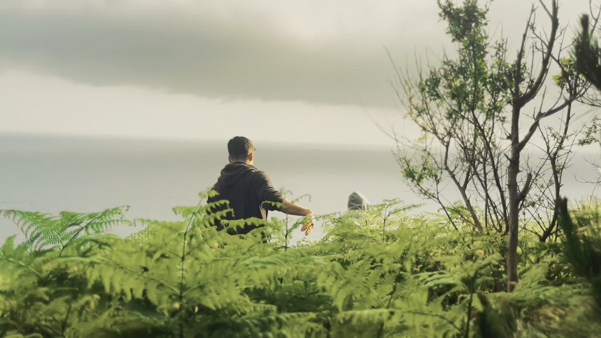 A man pointing at the ocean from a hill Free Stock Video Footage ...