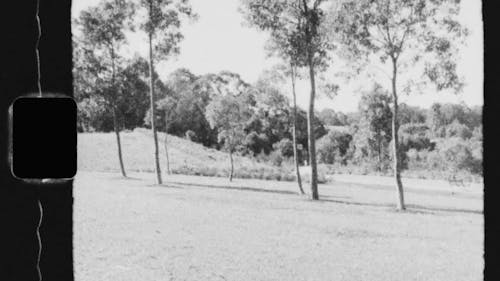 Un Viejo Video En Blanco Y Negro De Un Parque