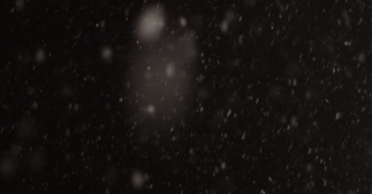 Snow Fall Clips Snow falling Free Stock Video Footage, Royalty-Free 4K & HD Video Clip