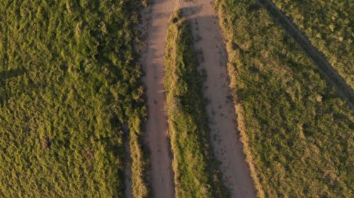 Eine Offroad Quer Durch Den Wald