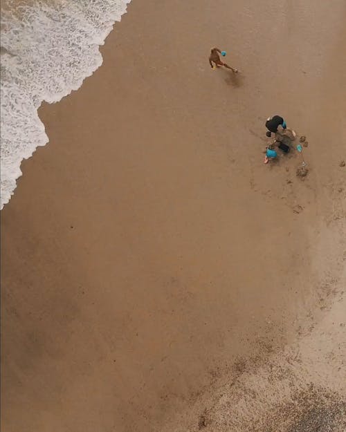 Actividades De Personas En La Playa