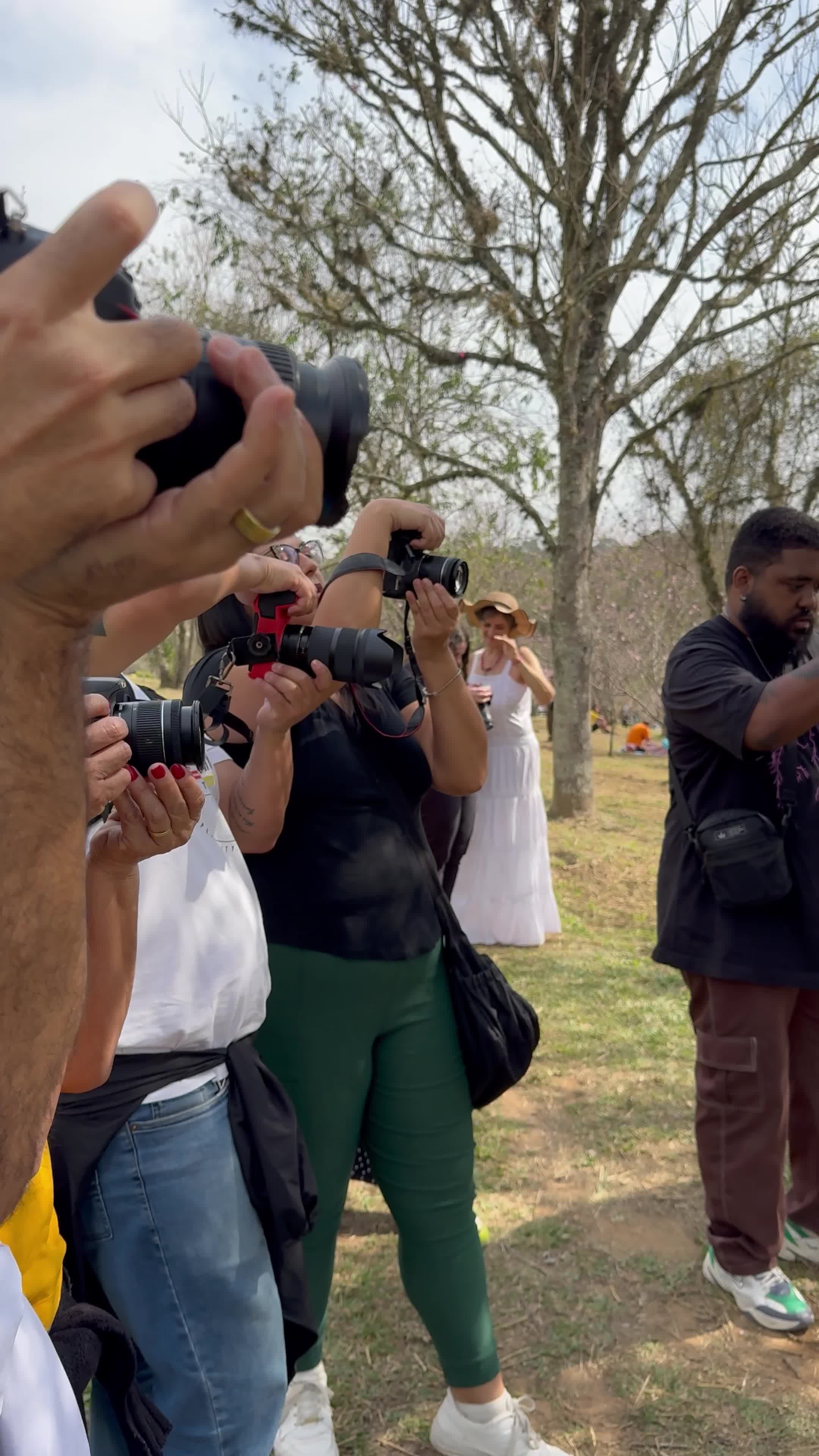 Video by Matheus Bertelli