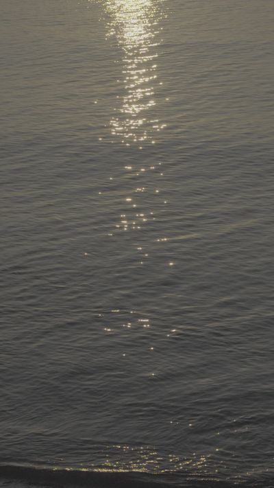 quang vinh's ocean waves sunset video