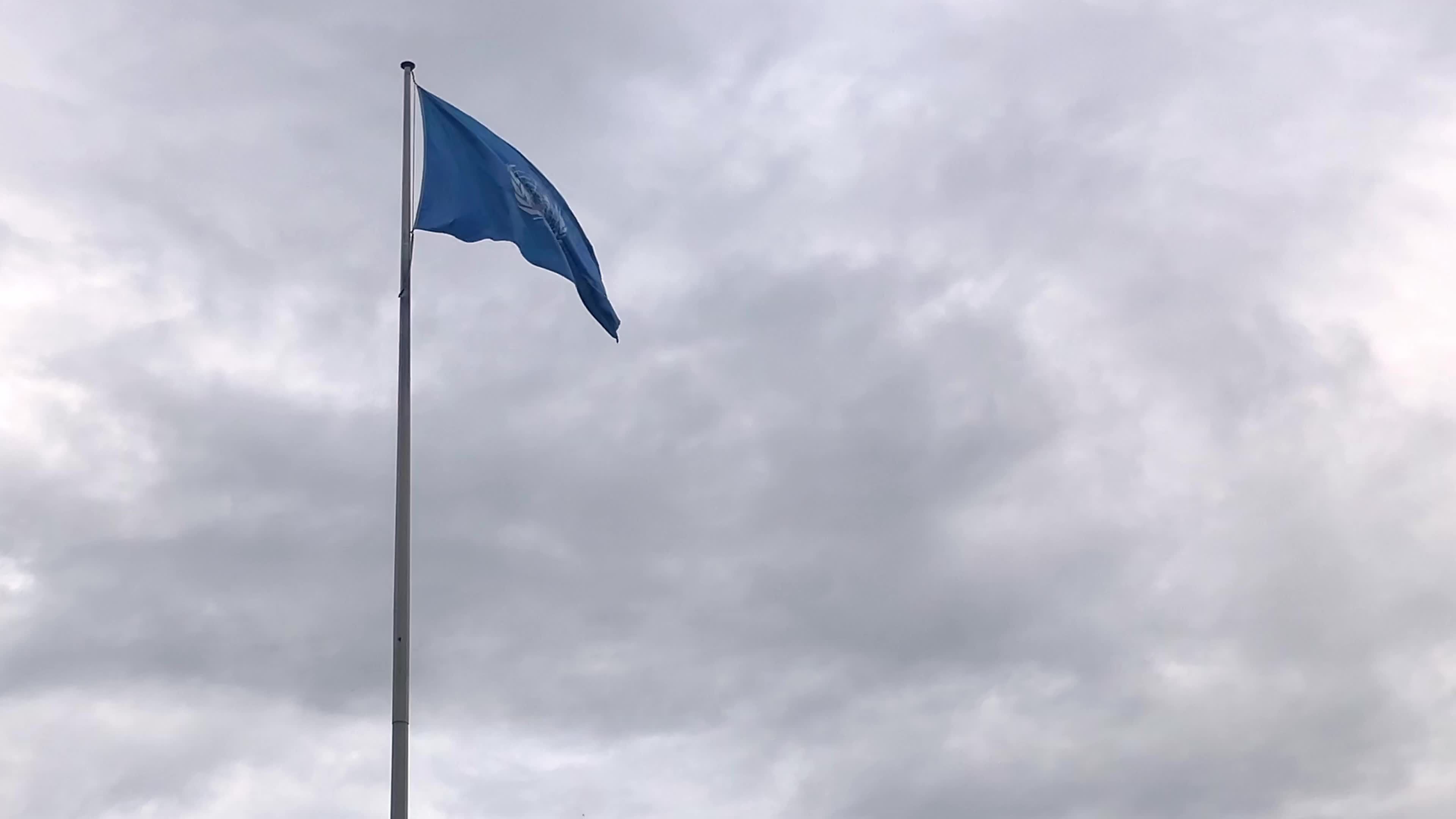 A blue flag flies in the wind under a cloudy sky Free Stock Video ...