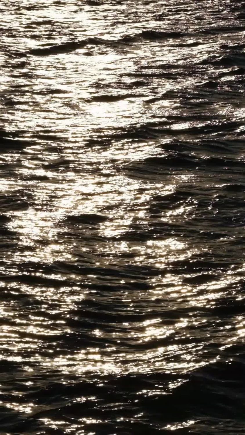 Sunlight Reflections on Rippling Water Surface Free Stock Video Footage ...