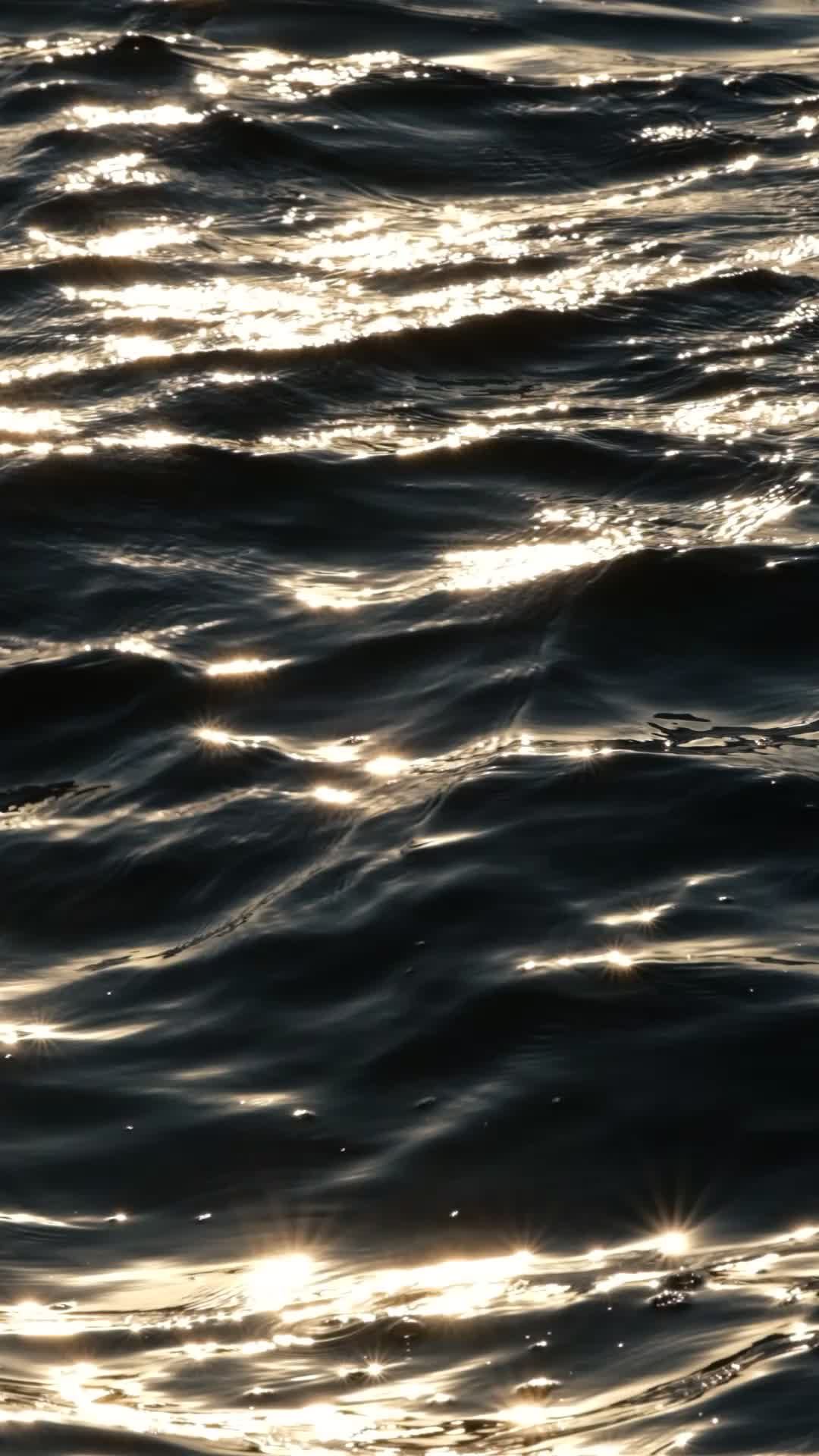 Glittering Sunlight on Gentle Water Waves Free Stock Video Footage ...
