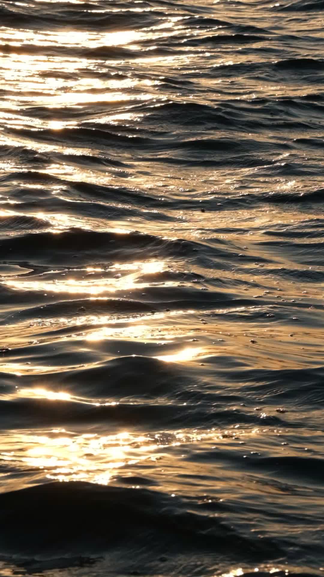 Glittering Sunlight on Gentle Water Waves Free Stock Video Footage ...