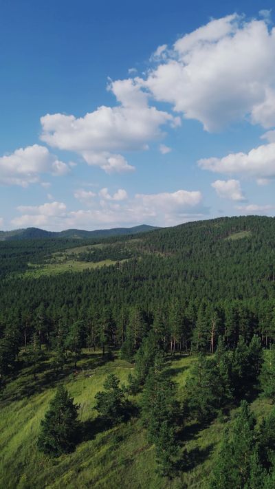 Darya Grey_Owl's nature timelapse video