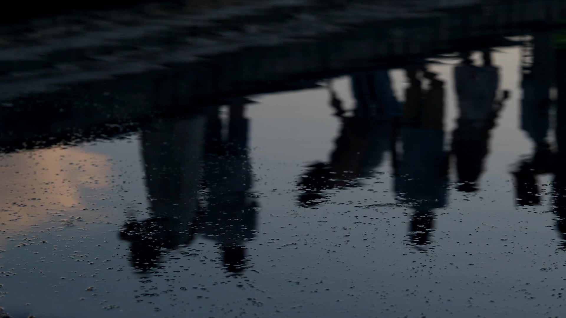 People are standing in the water with their backs to the camera Free ...