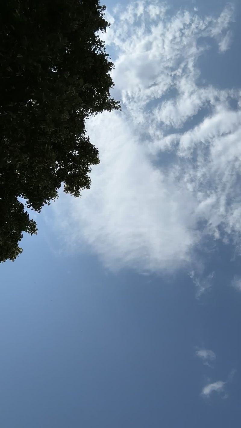 Crisp Blue Sky with Fluffy Clouds Timelapse Free Stock Video Footage ...