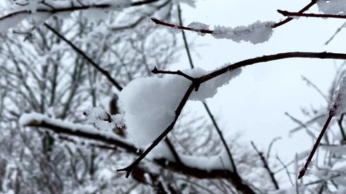 Snowfall Video Download Video Of Snowfall Free Stock Video Footage, Royalty-Free 4K & HD Video Clip