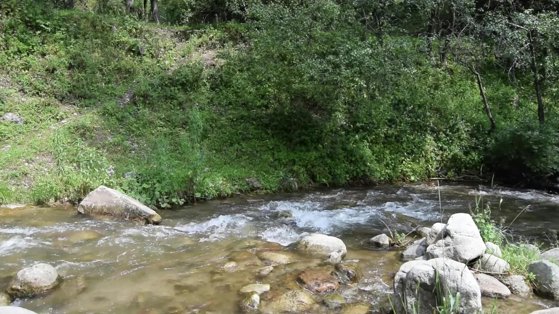 Video by ANDREY22Z Zibolov