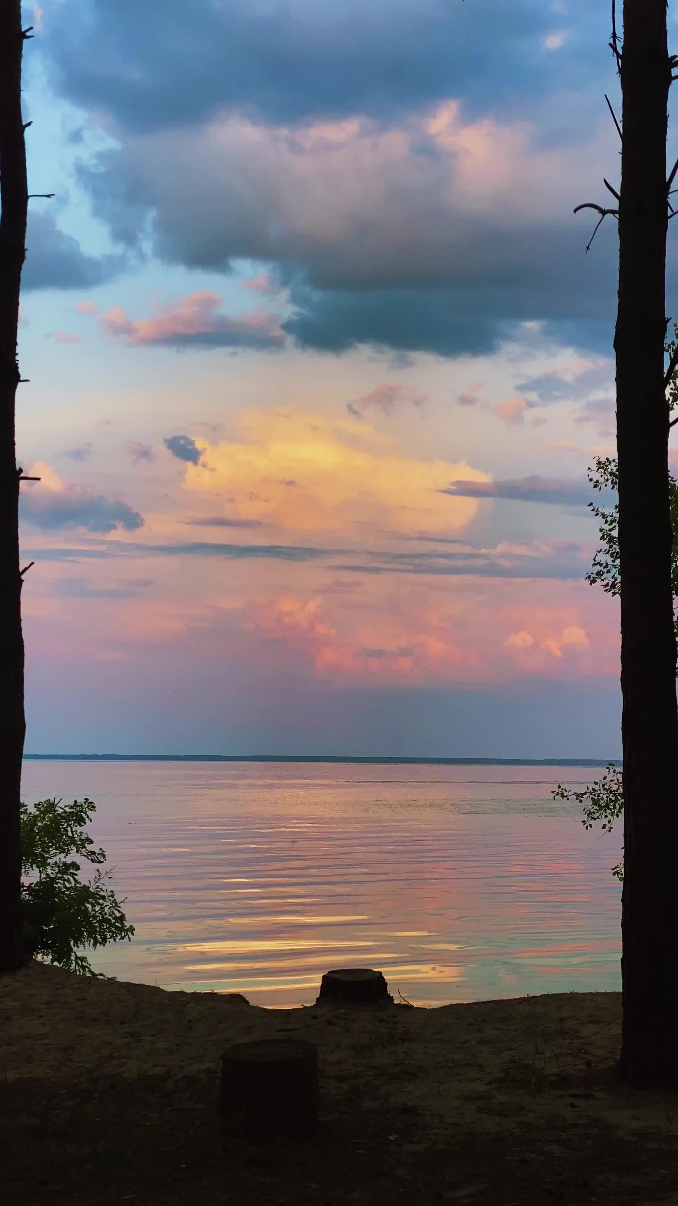 Video by Kateryna Hnidash