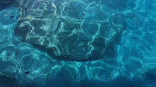 A Rock On The Surface Of A Body Of Water