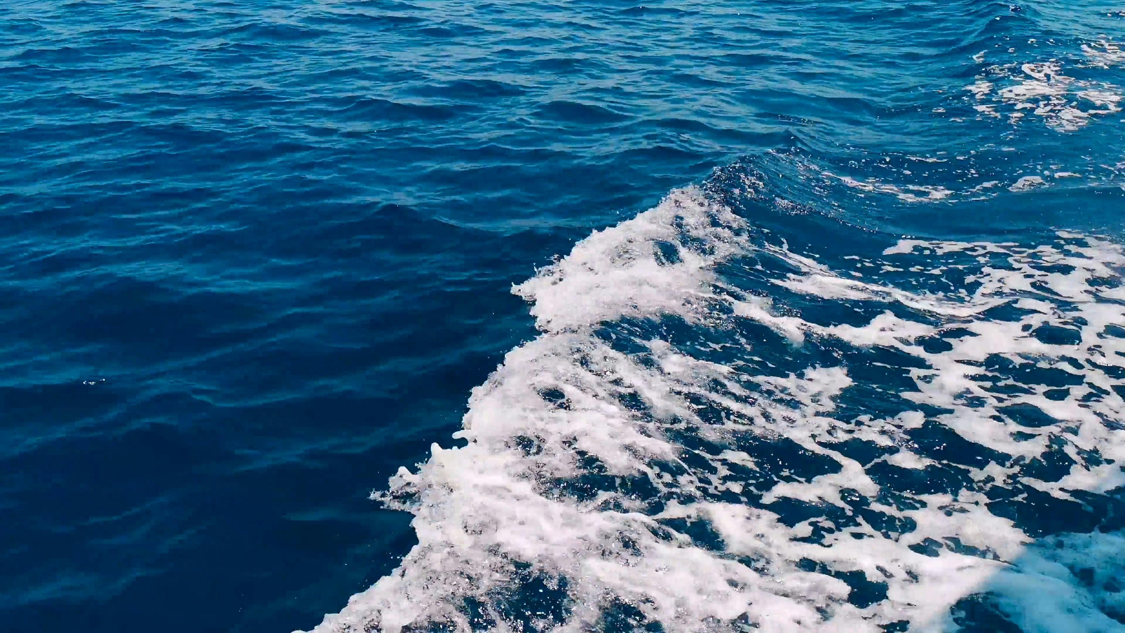 Pexels Video 2776523