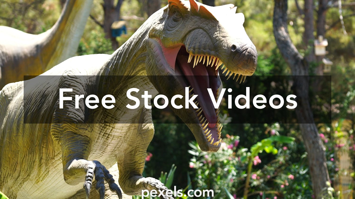 70+ Dinosaur Video Templates Download