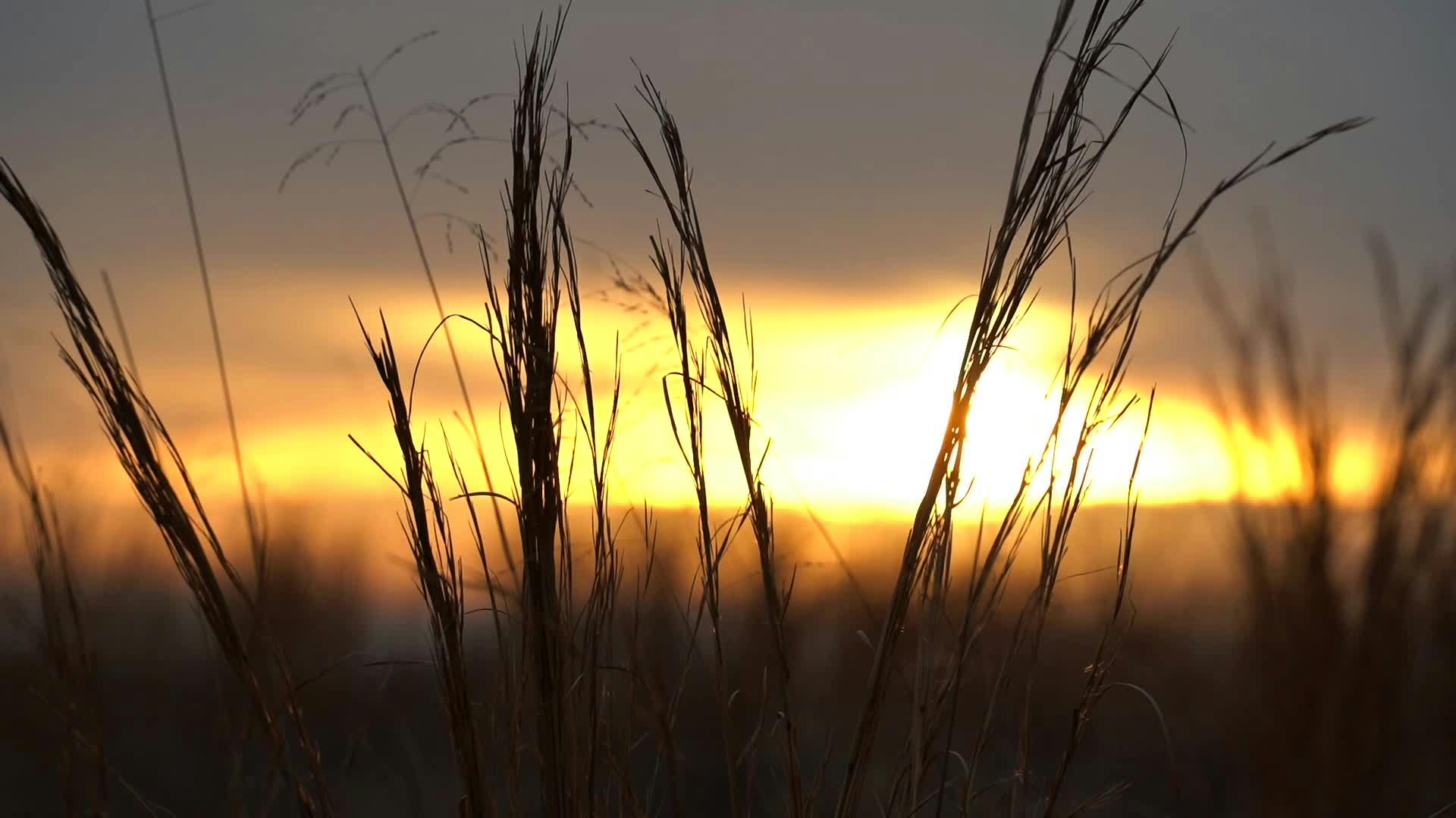 Video by AP Vibes