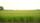 farms