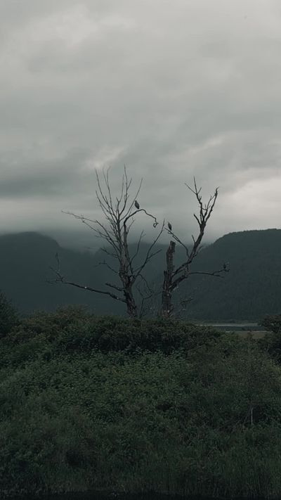 Akaaljotsingh Anandpuria's fantasy landscape cinematic video