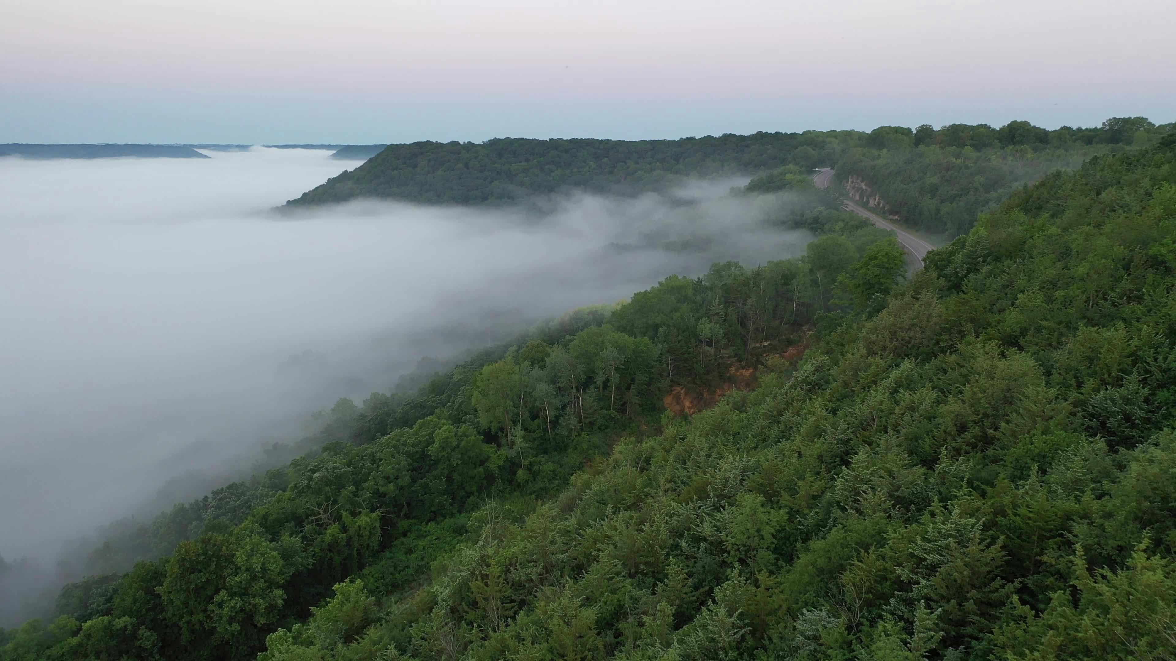 Video by Tom Fisk
