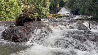 A Close-up Shot of a Flowing Rocky River in the Forest Free Stock Video ...