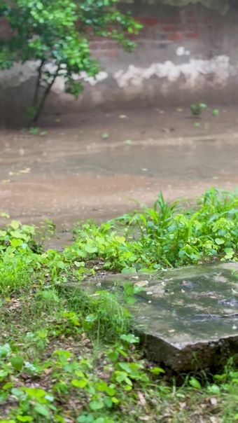 雨景高清视频视频素材