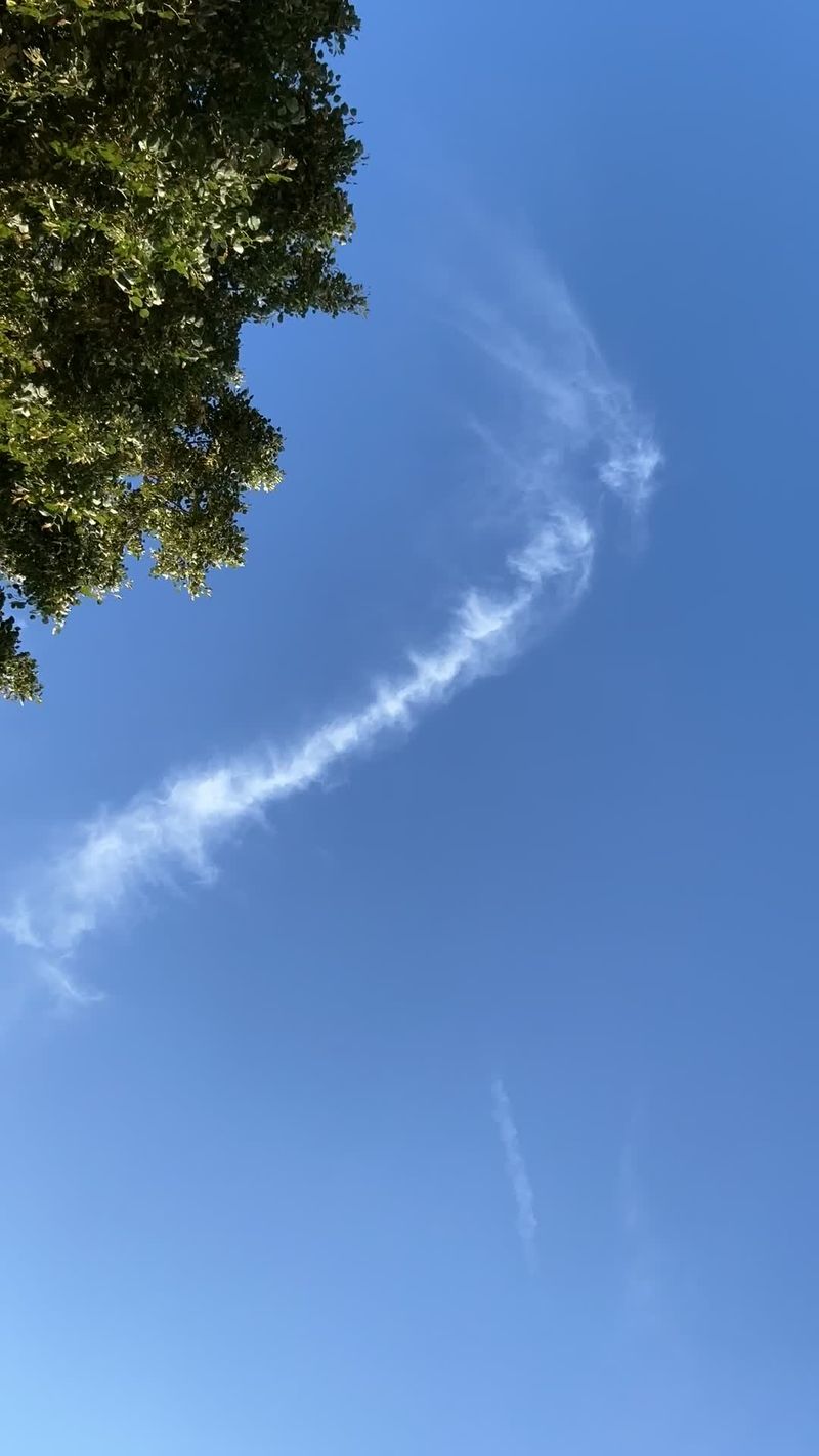 Crisp Blue Sky with Fluffy Clouds Timelapse Free Stock Video Footage ...