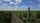 power lines