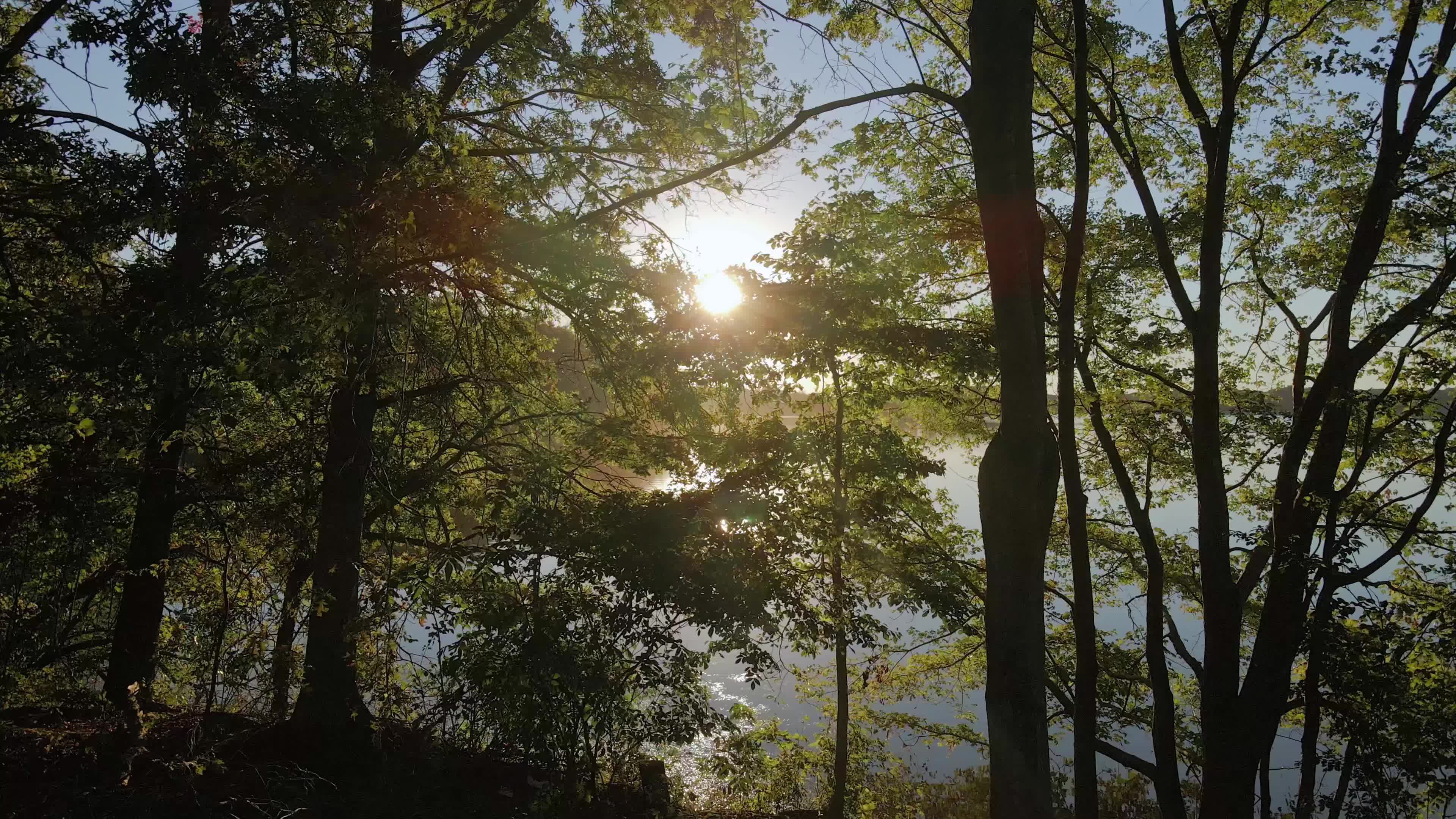 Video by AP Vibes