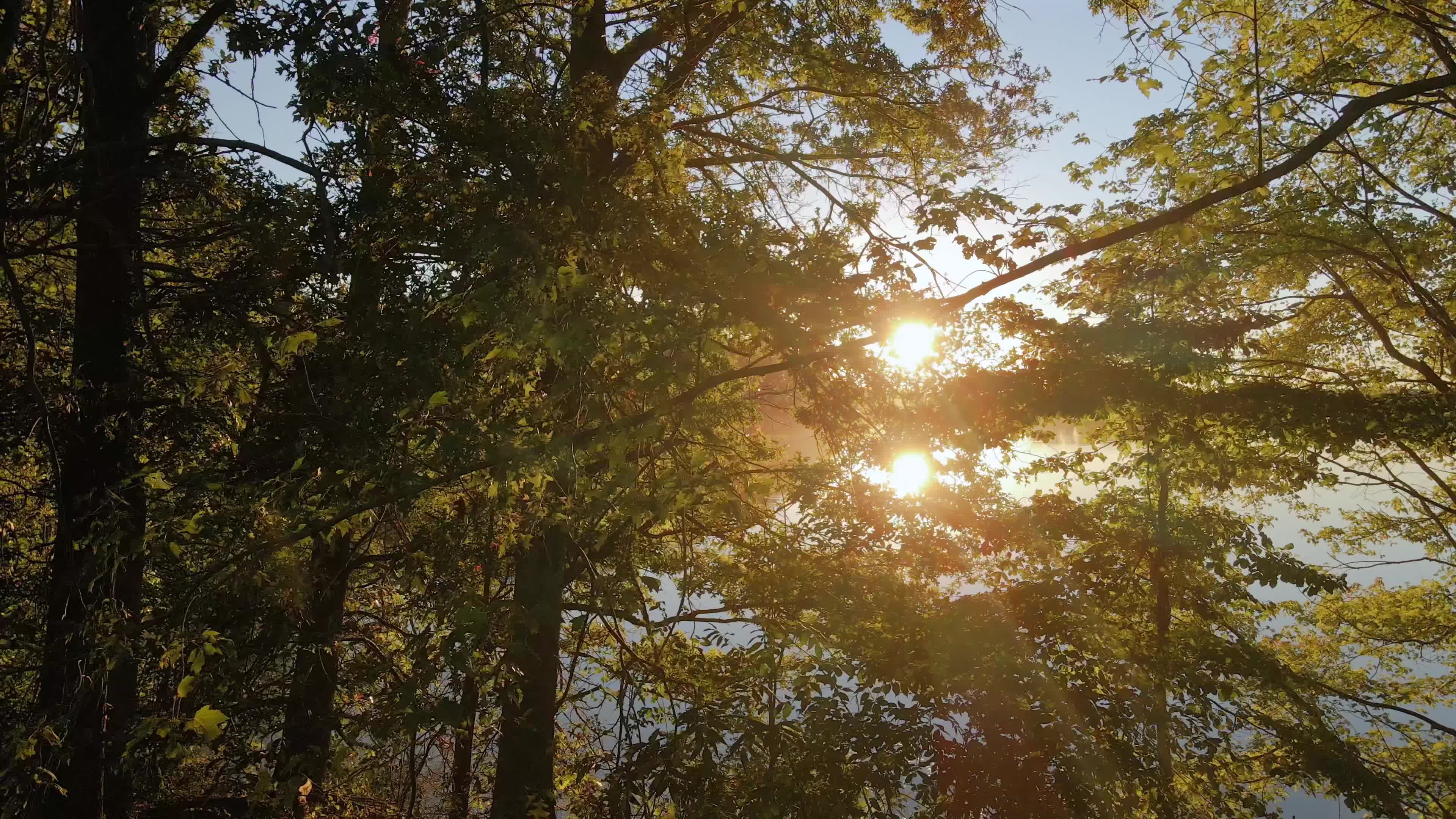 Video by AP Vibes