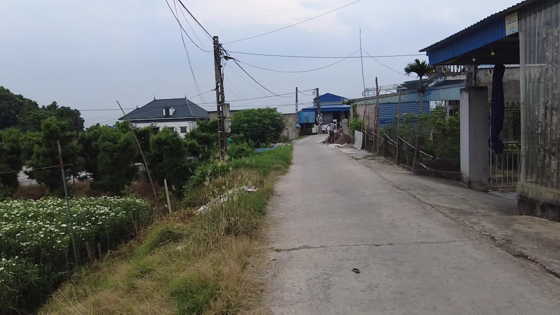 Video by tan hong thai 薪 鴻 泰
