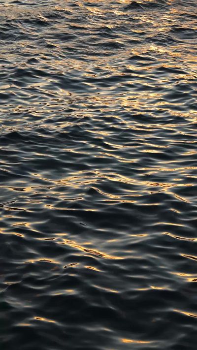 Ahmed ؜'s ocean waves sunset video