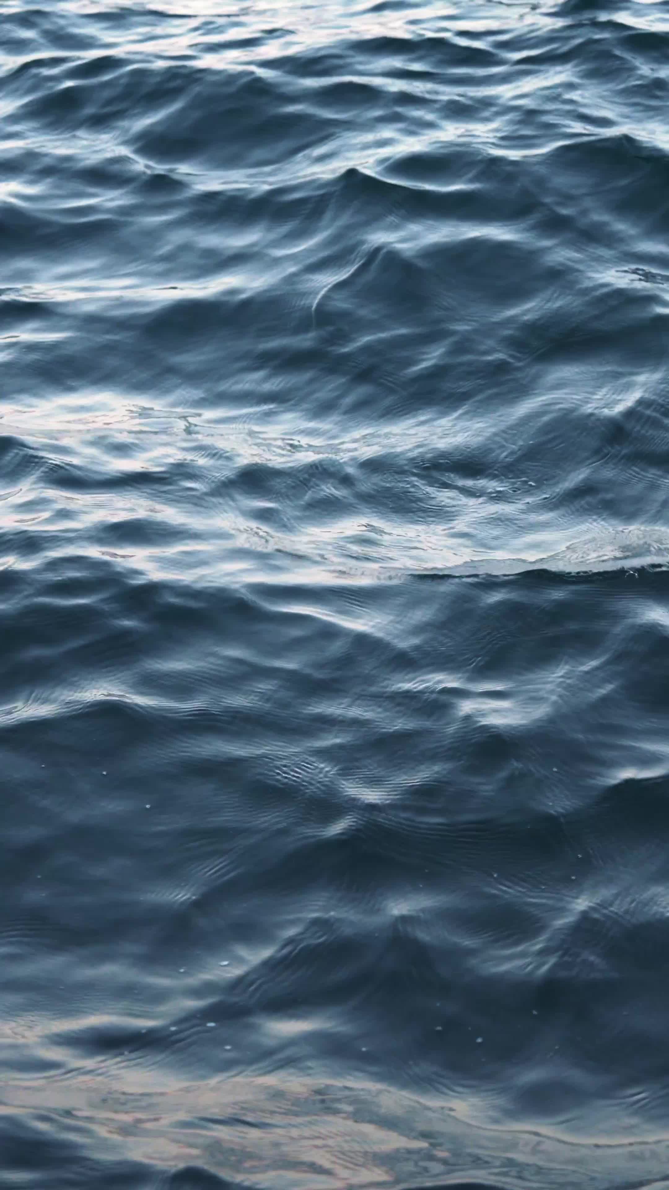 Video by Ahmed ؜