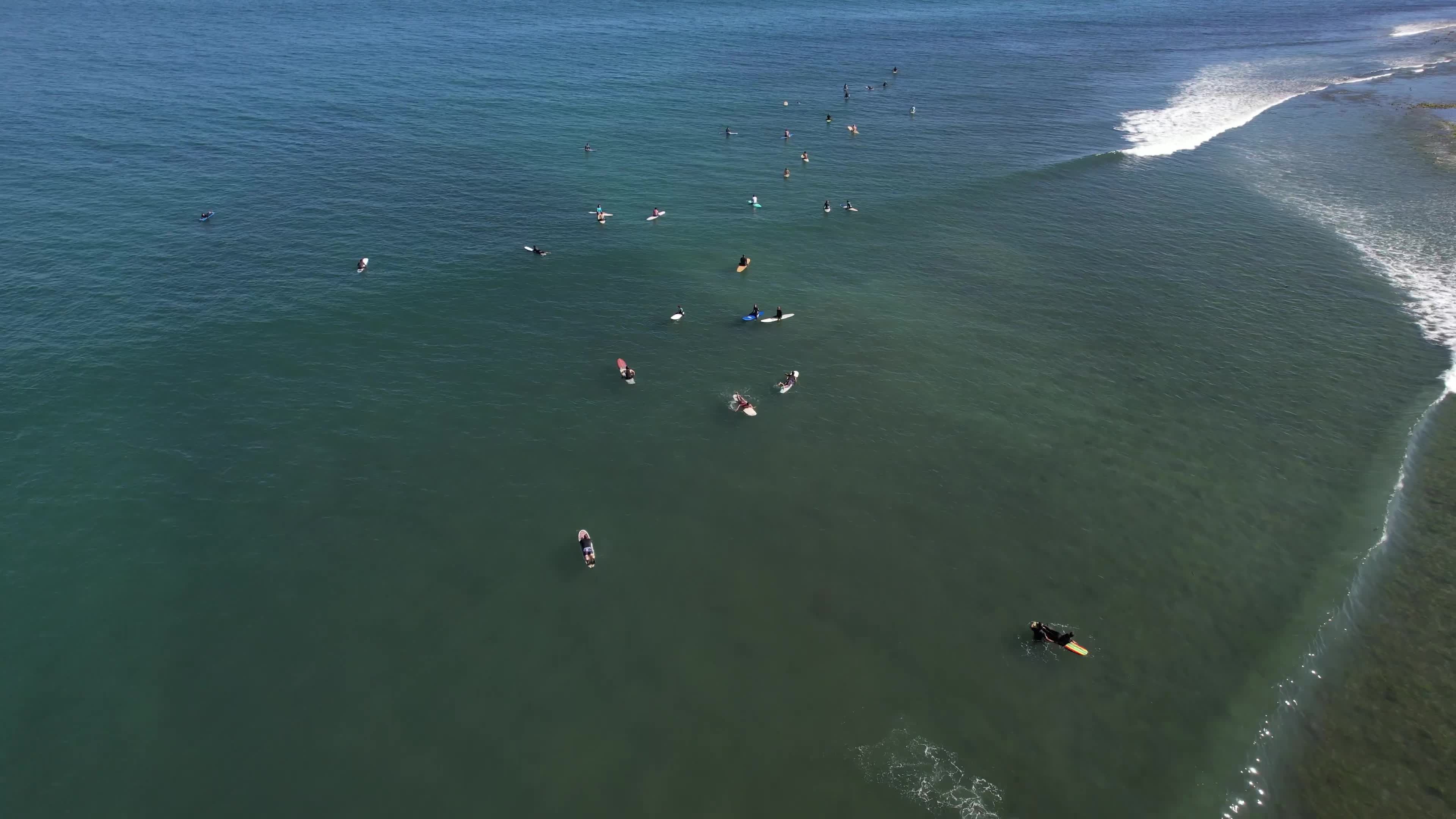 Aerial view of surfers in the ocean Free Stock Video Footage, Royalty ...