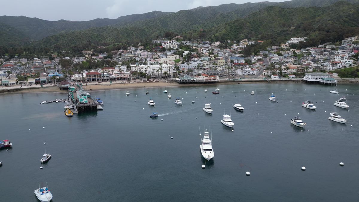 The aerial view of a harbor and town Free Stock Video Footage, Royalty ...