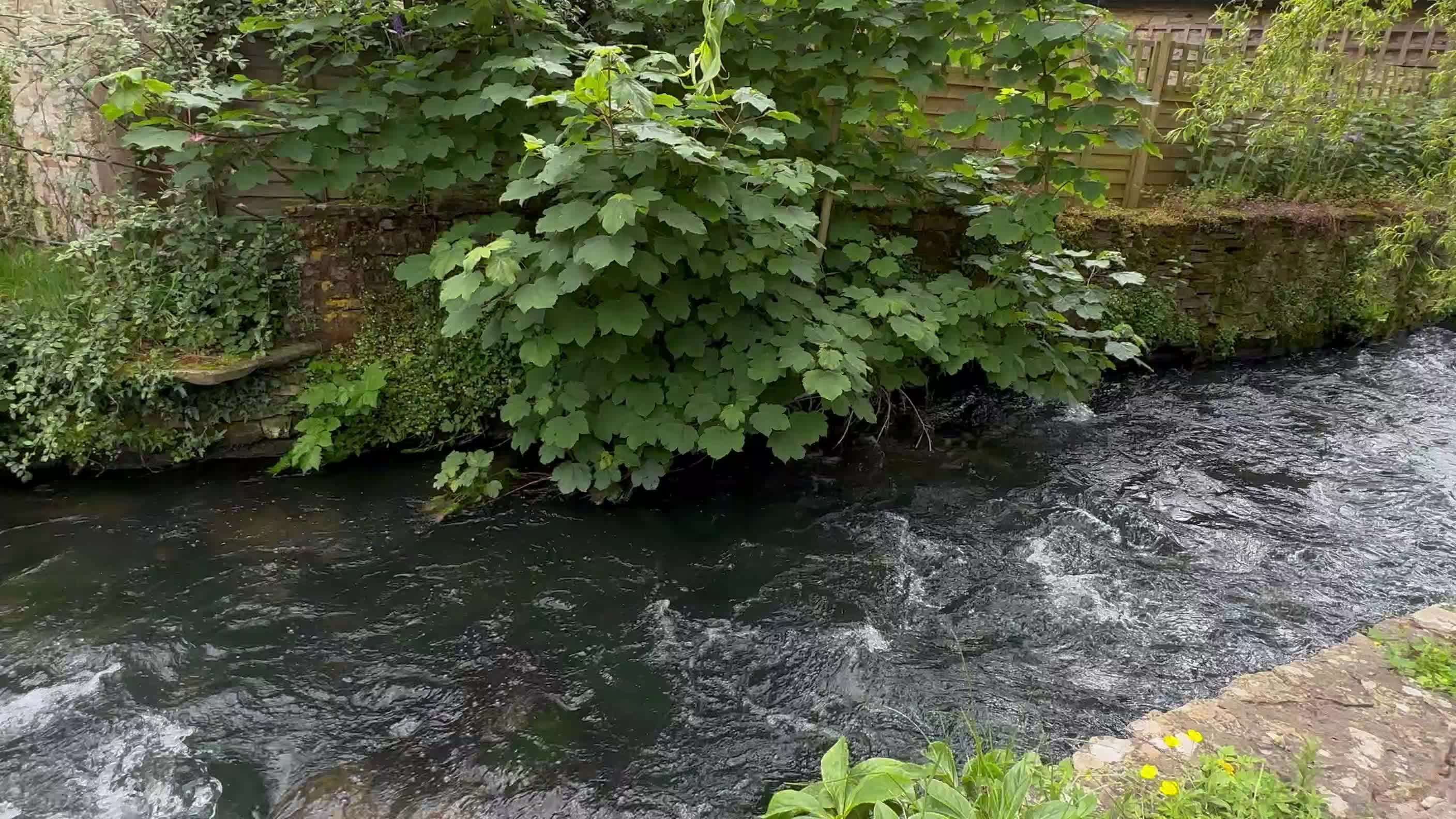 a river runs through a stone bridge and flowers 27951166 — free pexels stock footage