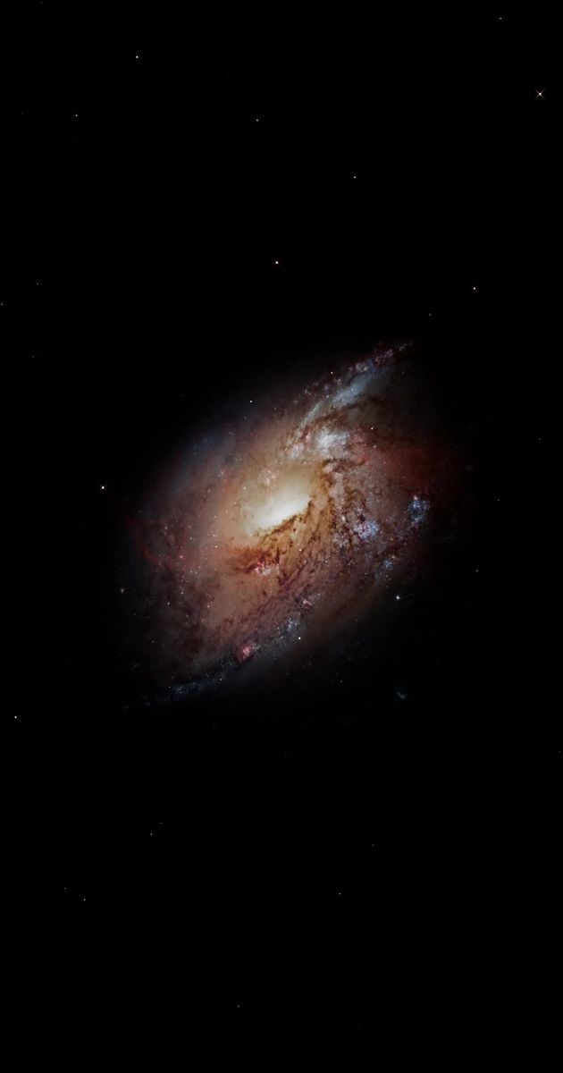 messier106 galaxy 27975940
