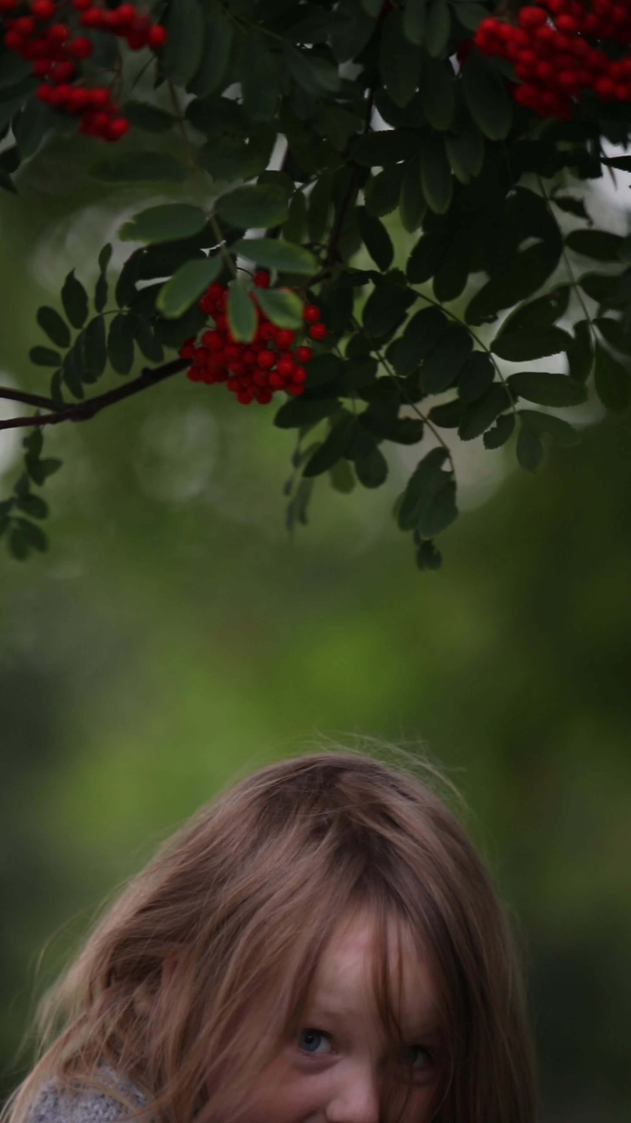 A young girl looking at a tree with red berries Free Stock Video ...